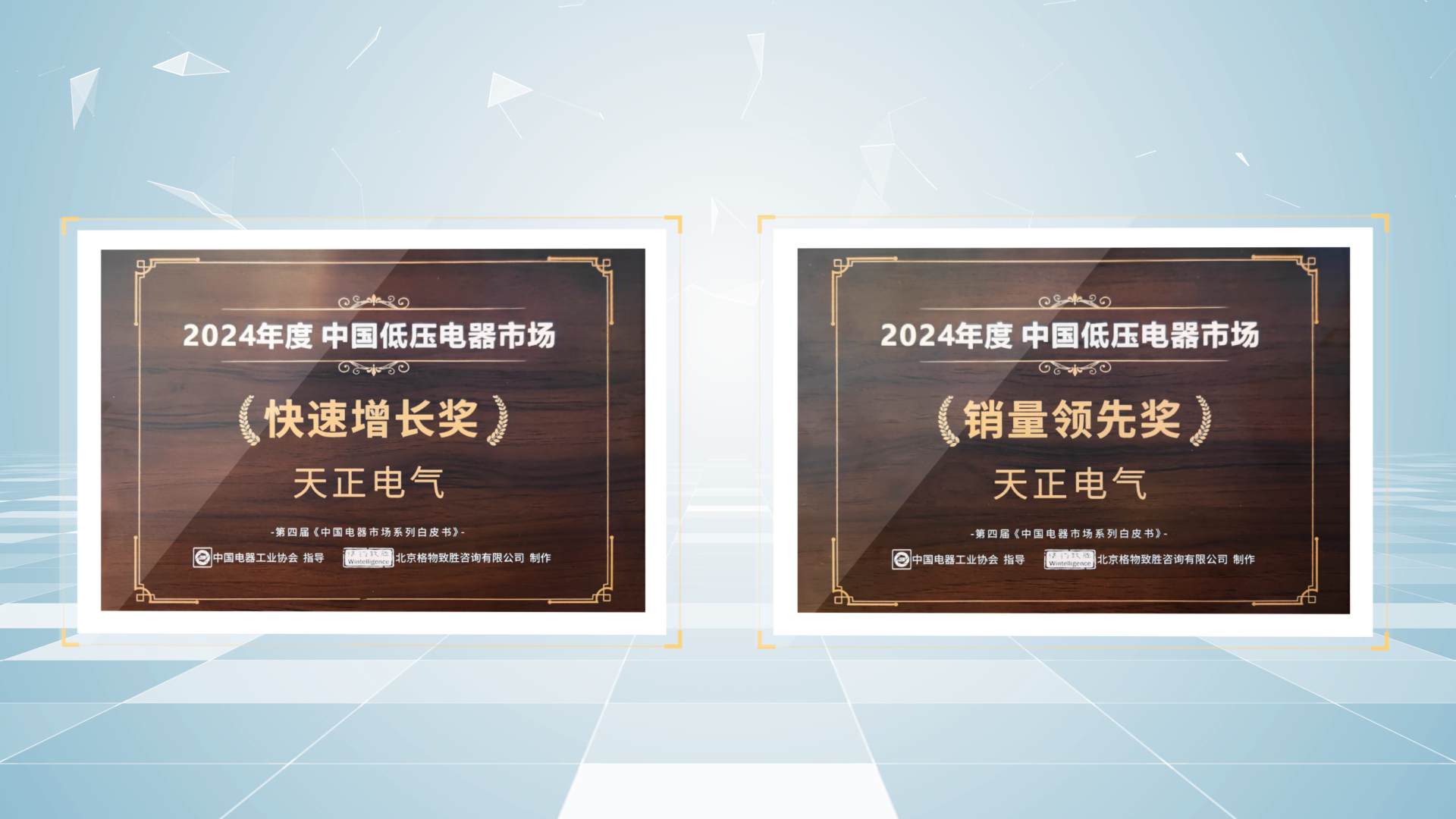 销量领先、快速增长丨pg模拟器荣膺2项行业年度大奖